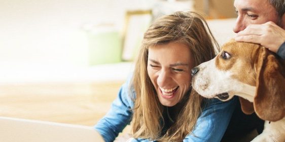 iStock_000059371312_Full